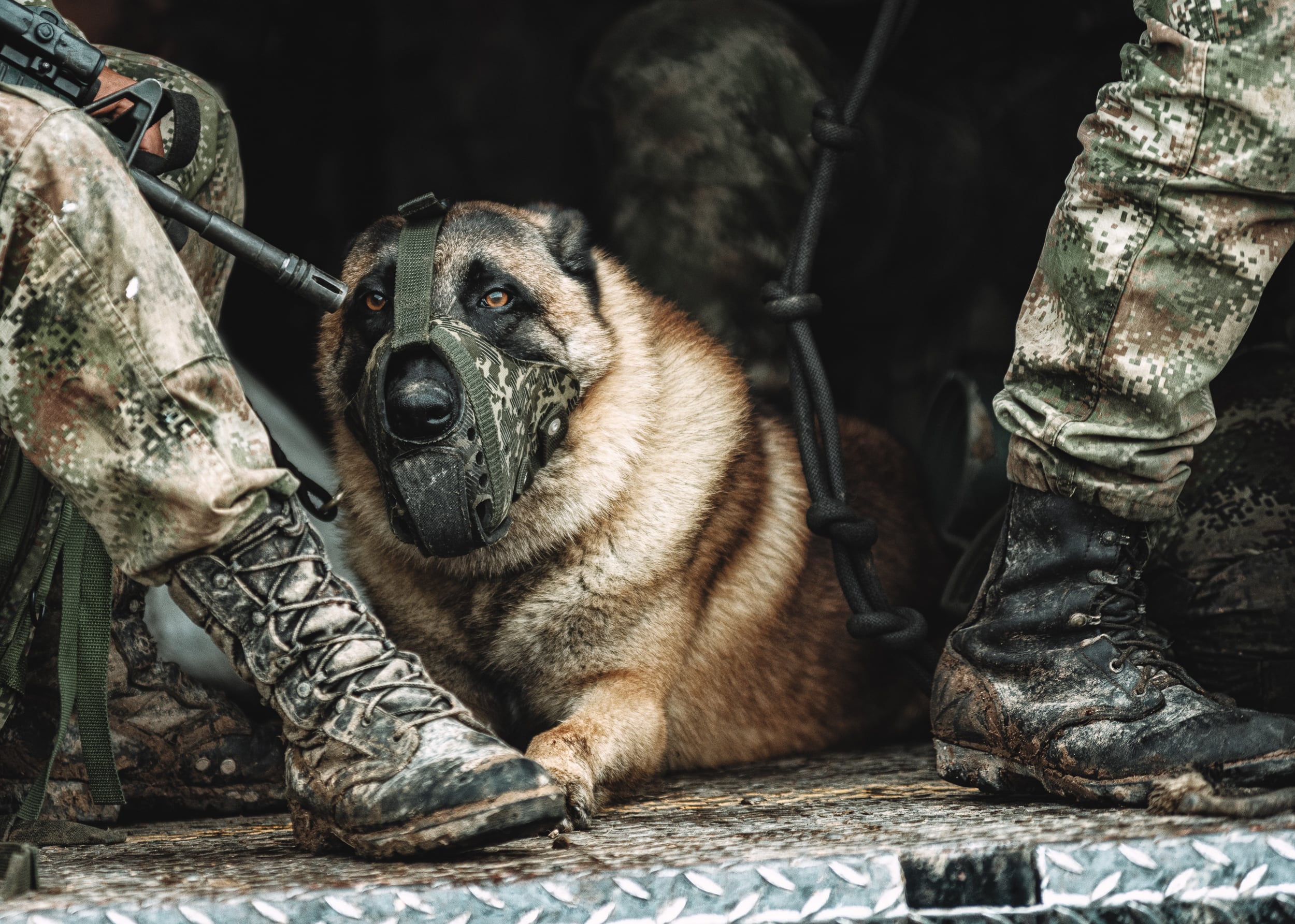 Colombian Armed Forces photograph 26